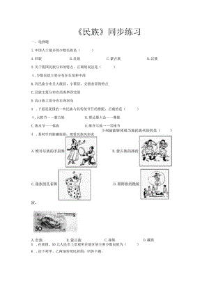 鲁教版七年级地上册【同步测试】民族.docx