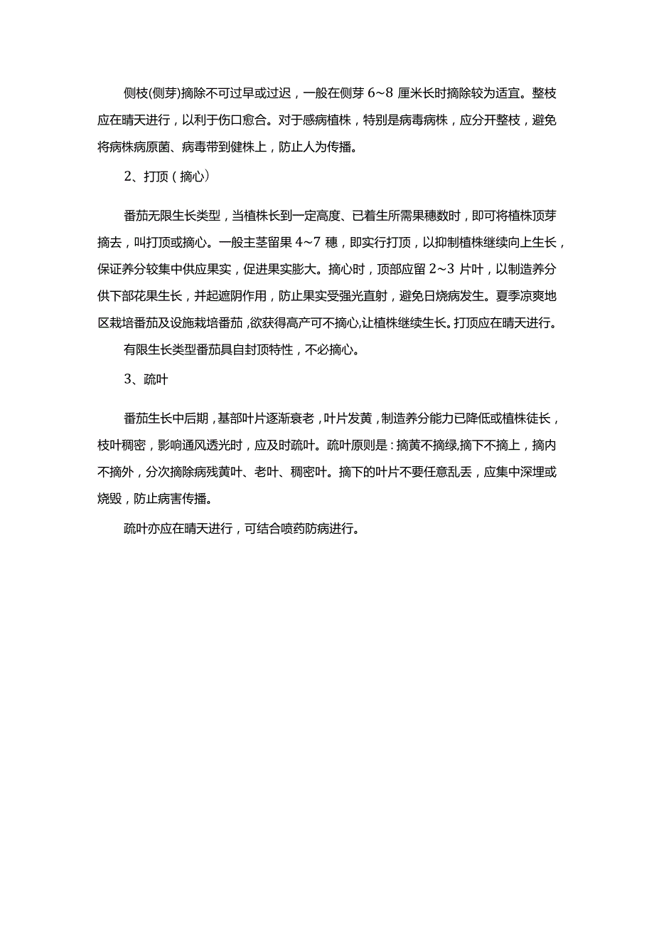 番茄如何整枝、打顶、疏叶.docx_第2页