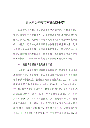 调研报告：县民营经济发展对策.docx