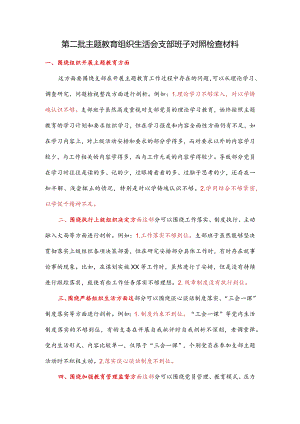 第二批主题教育组织生活会支部班子对照检查材料.docx