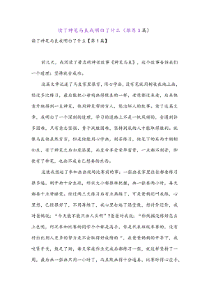 读了神笔马良我明白了什么(推荐3篇).docx