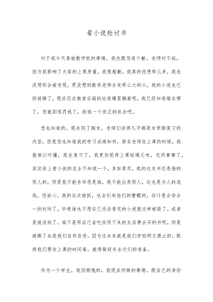 看小说检讨书.docx