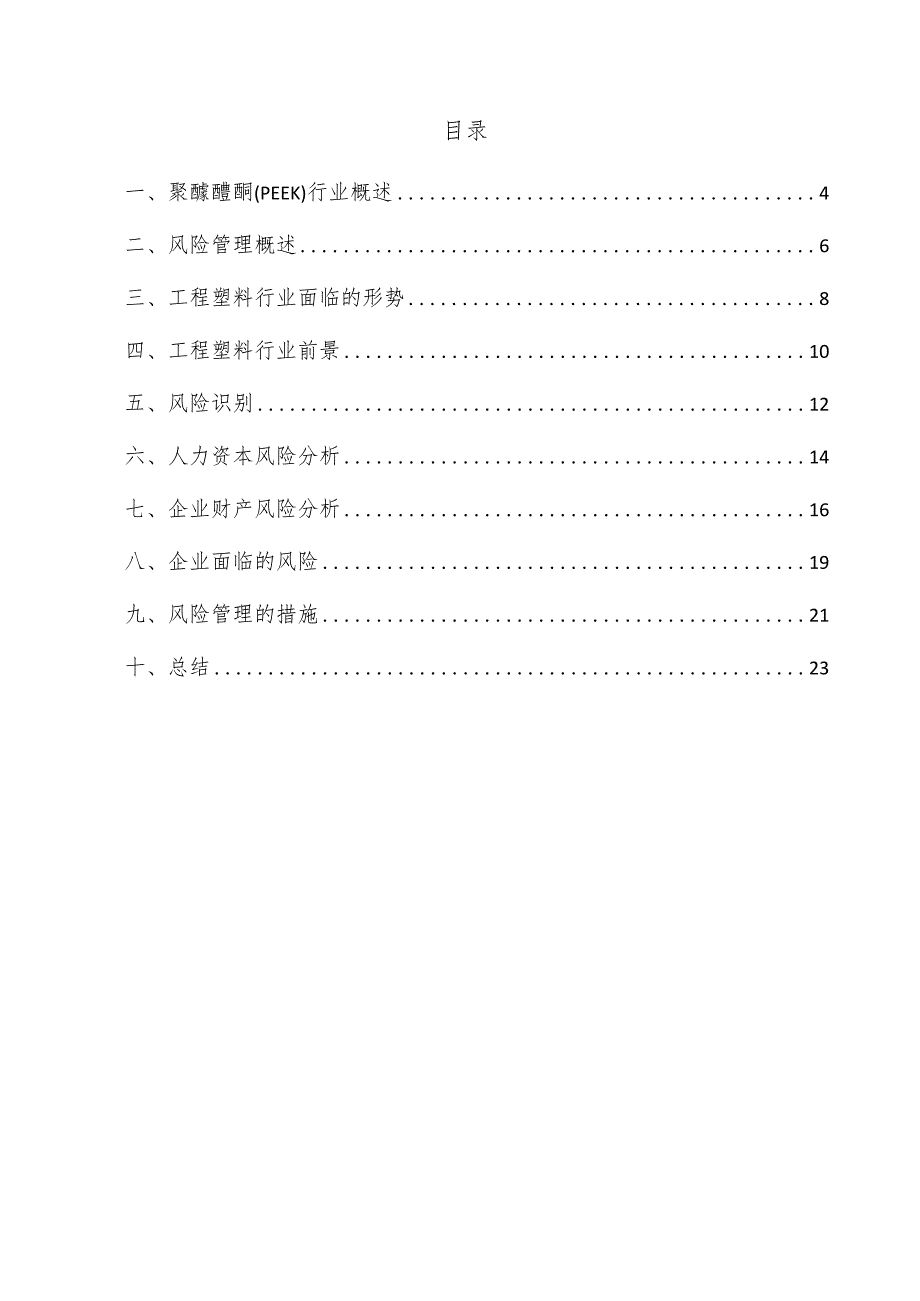 聚醚醚酮（PEEK）项目风险管理方案.docx_第3页