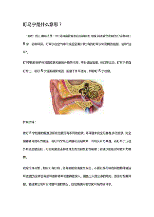 盯眝是什么意思.docx