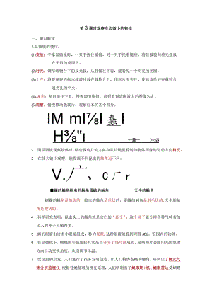 观察身边微小的物体知识点整理教科版科学六年级上册.docx