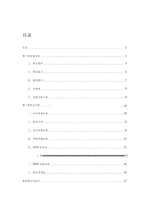 职业道路的顶峰终极职业规划.docx