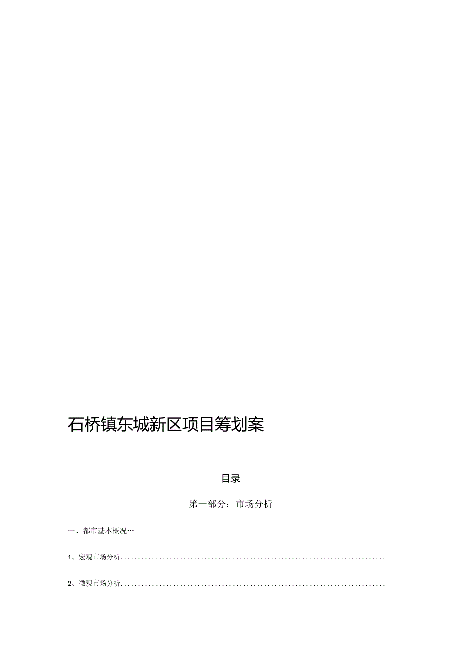 石桥镇东城新区项目策划方案.docx_第1页