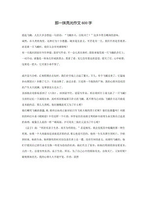 那一抹亮光作文600字.docx