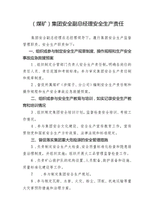 （煤矿）集团安全副总经理安全生产责任制.docx