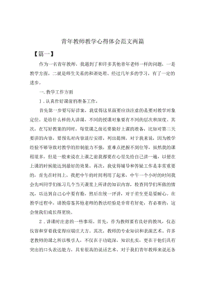 青年教师教学心得体会范文两篇.docx