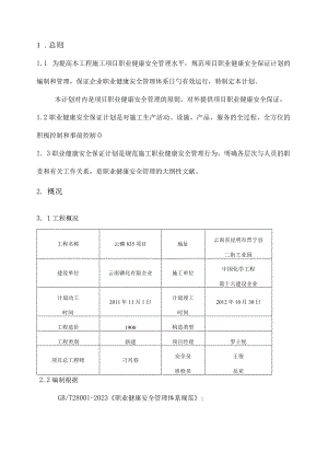 项目安全保障策划.docx