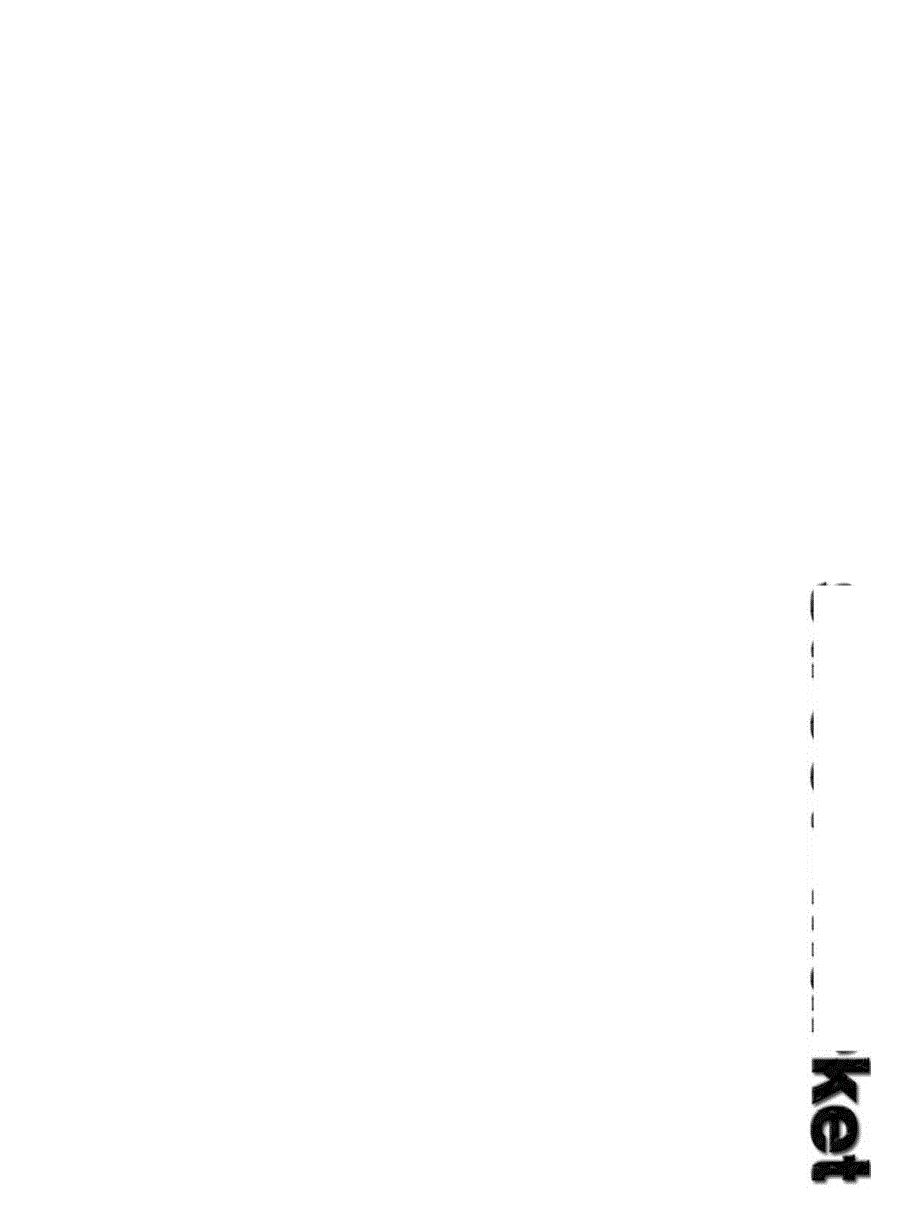 马路市场社会调查报告.docx_第3页