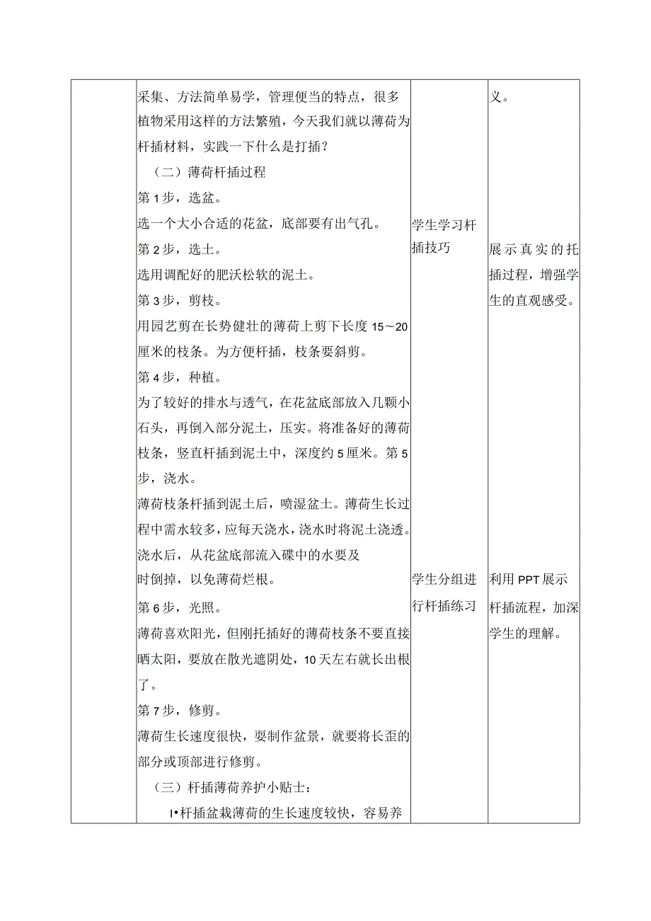 4-扦插薄荷四年级劳动下册（人民版）.docx_第2页