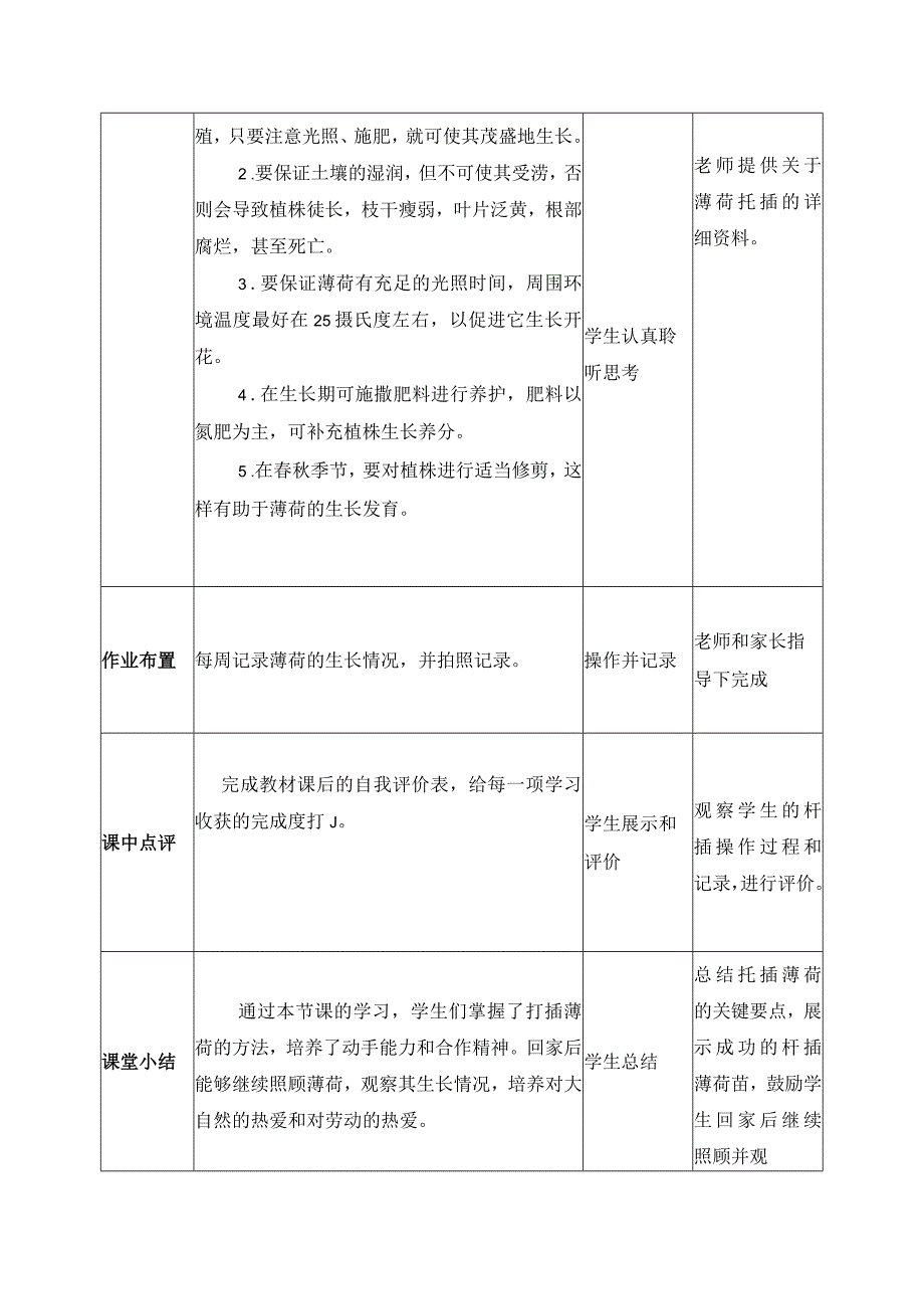 4-扦插薄荷四年级劳动下册（人民版）.docx_第3页