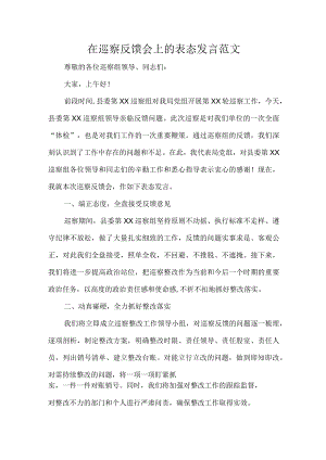 在巡察反馈会上的表态发言范文.docx