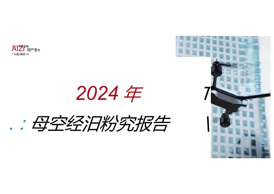 2024年低空经济研究报告.docx_第1页