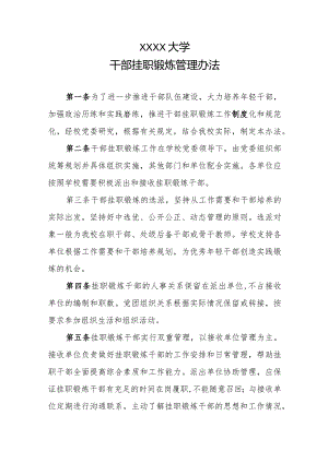 大学干部挂职锻炼管理办法.docx