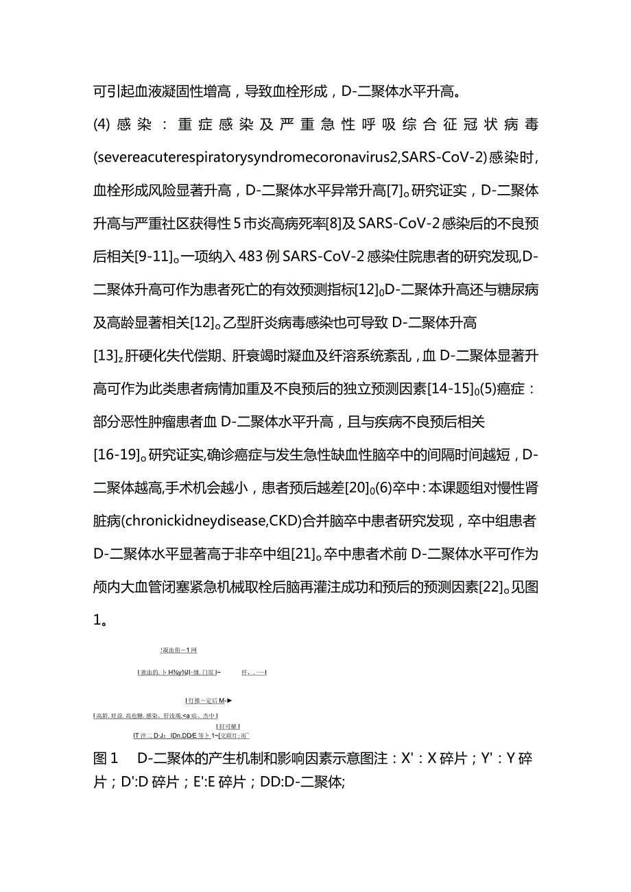 D-二聚体与肾脏疾病的研究进展2024.docx_第2页