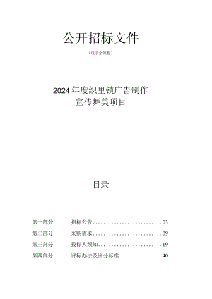 织里镇广告制作宣传舞美项目招标文件.docx