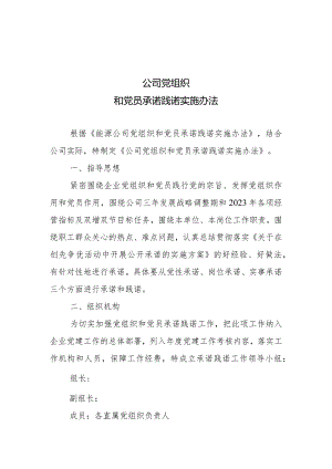 公司党组织和党员承诺践诺实施办法.docx