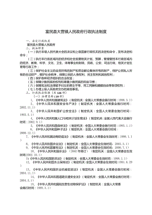 XX县人民政府行政执法制度范文.docx