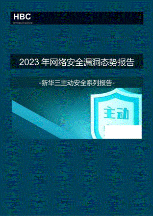 2023年网络安全漏洞态势报告.docx