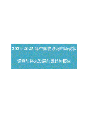 2024版中国物联网市场现状调查与未来发展前景趋势报告.docx