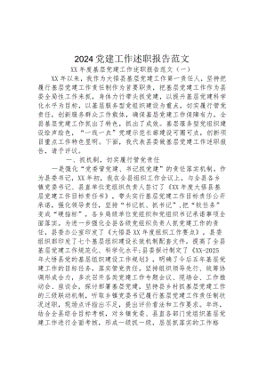 2024党建工作述职报告范文.docx