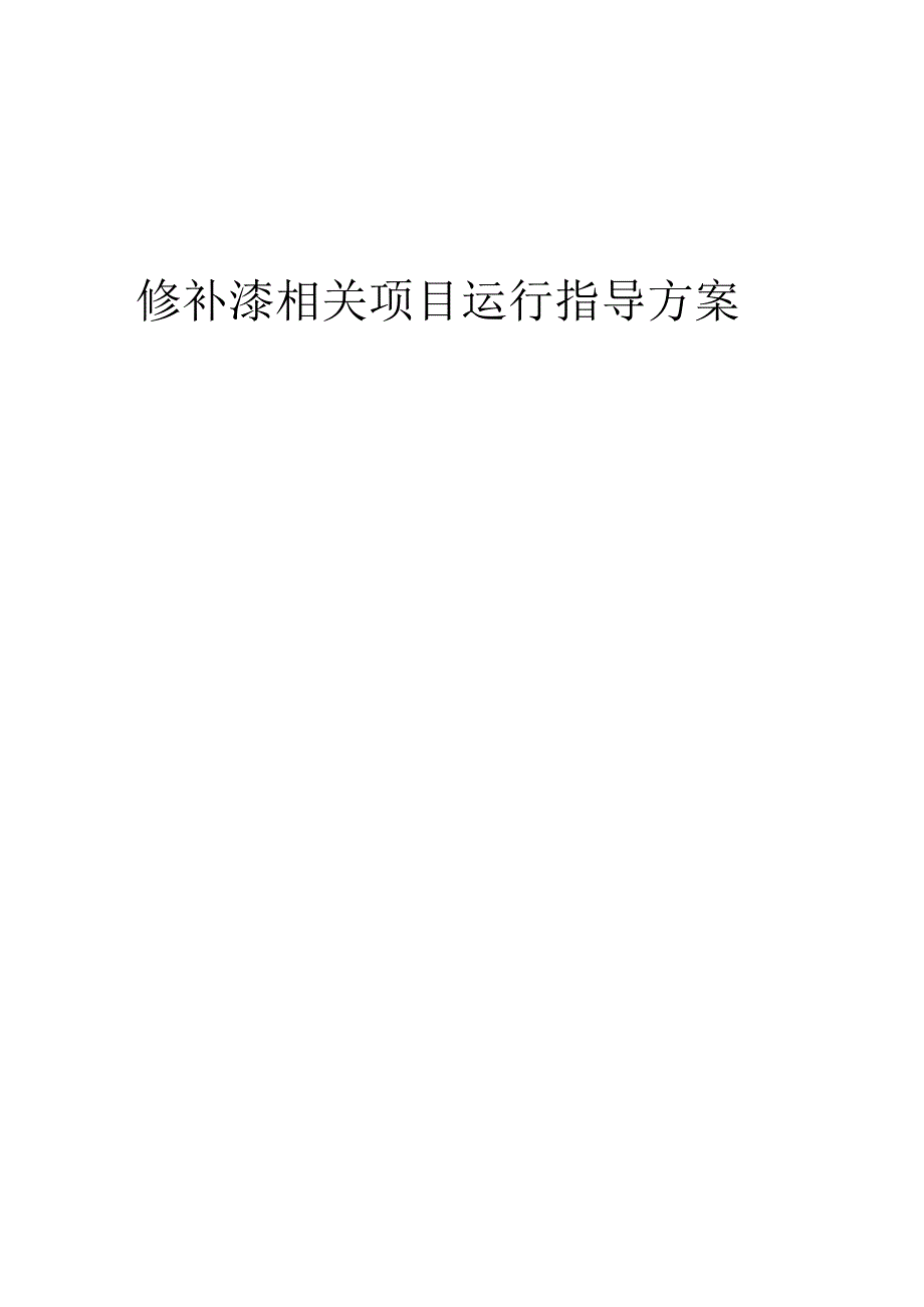 2023年修补漆相关项目运行指导方案.docx_第1页