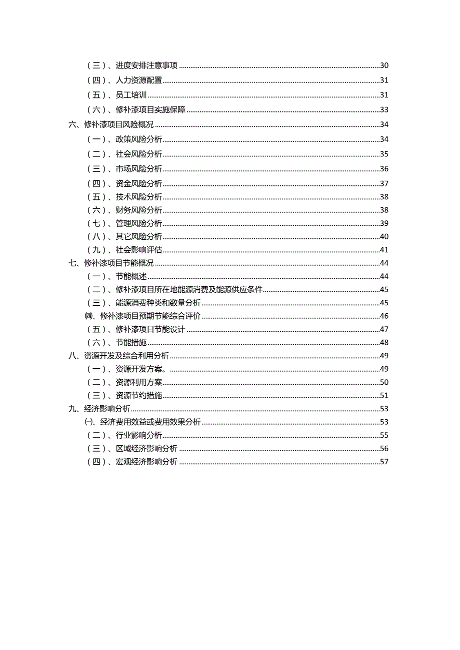 2023年修补漆相关项目运行指导方案.docx_第3页