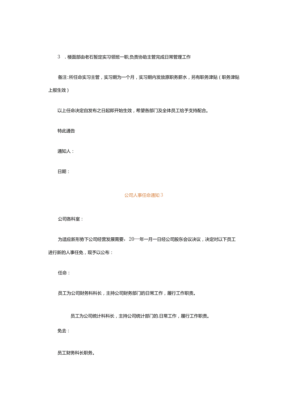 公司人事任命通知范文模板.docx_第2页