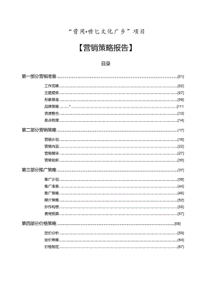 世纪文化广场商业项目营销策略报告.docx