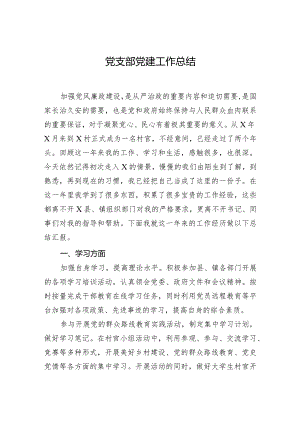 党支部党建工作总结.docx