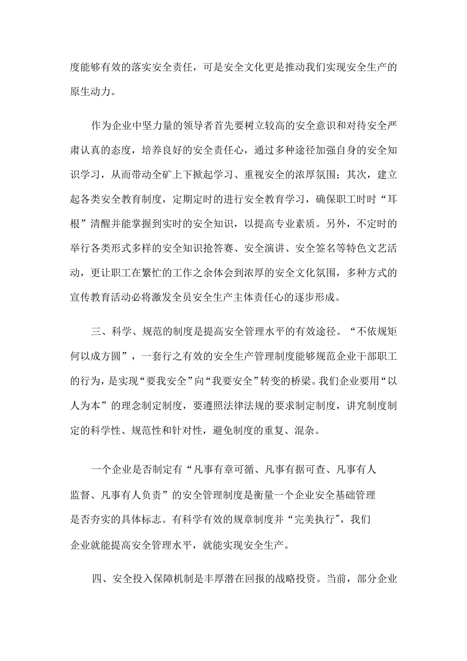 落实企业安全生产主体责任心得体会思考发言5篇.docx_第2页