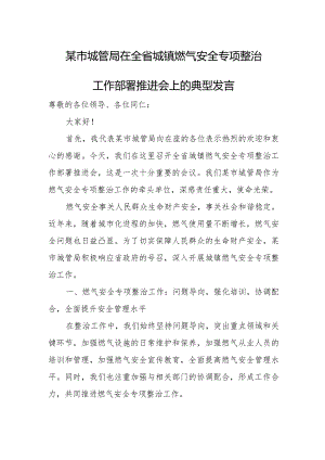 某市城管局在全省城镇燃气安全专项整治工作部署推进会上的典型发言.docx