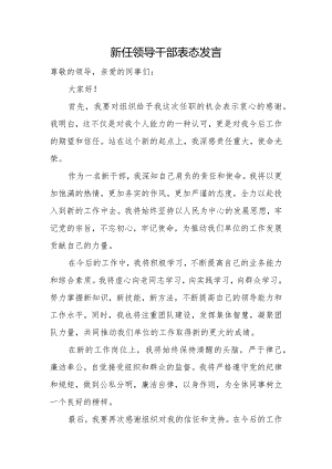 新任领导干部表态发言.docx