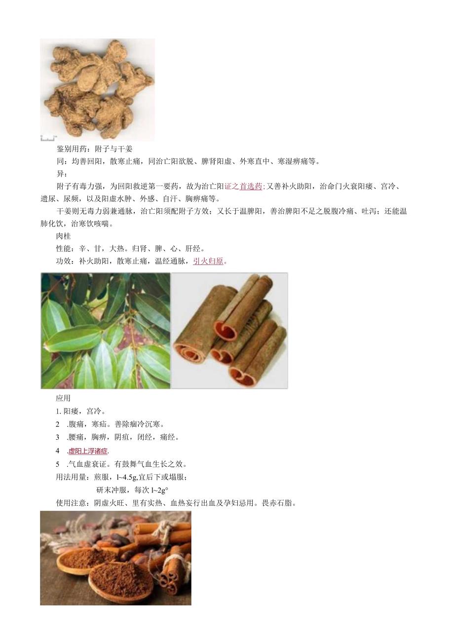 中医内科主治医师资格笔试基础知识考点解析(24)：温里药.docx_第2页