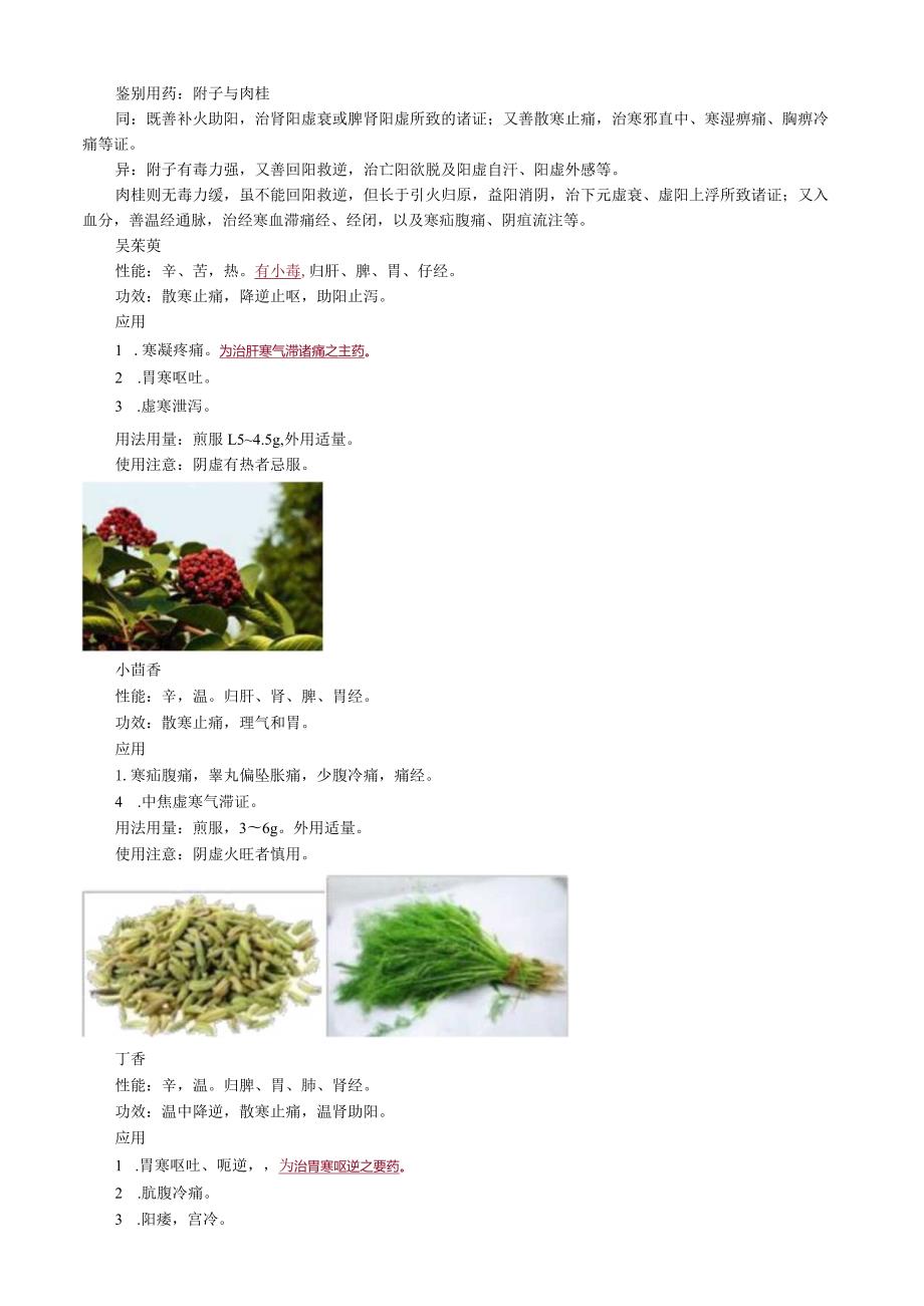 中医内科主治医师资格笔试基础知识考点解析(24)：温里药.docx_第3页