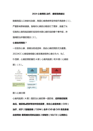 2024心衰预防、治疗、康复指南建议.docx