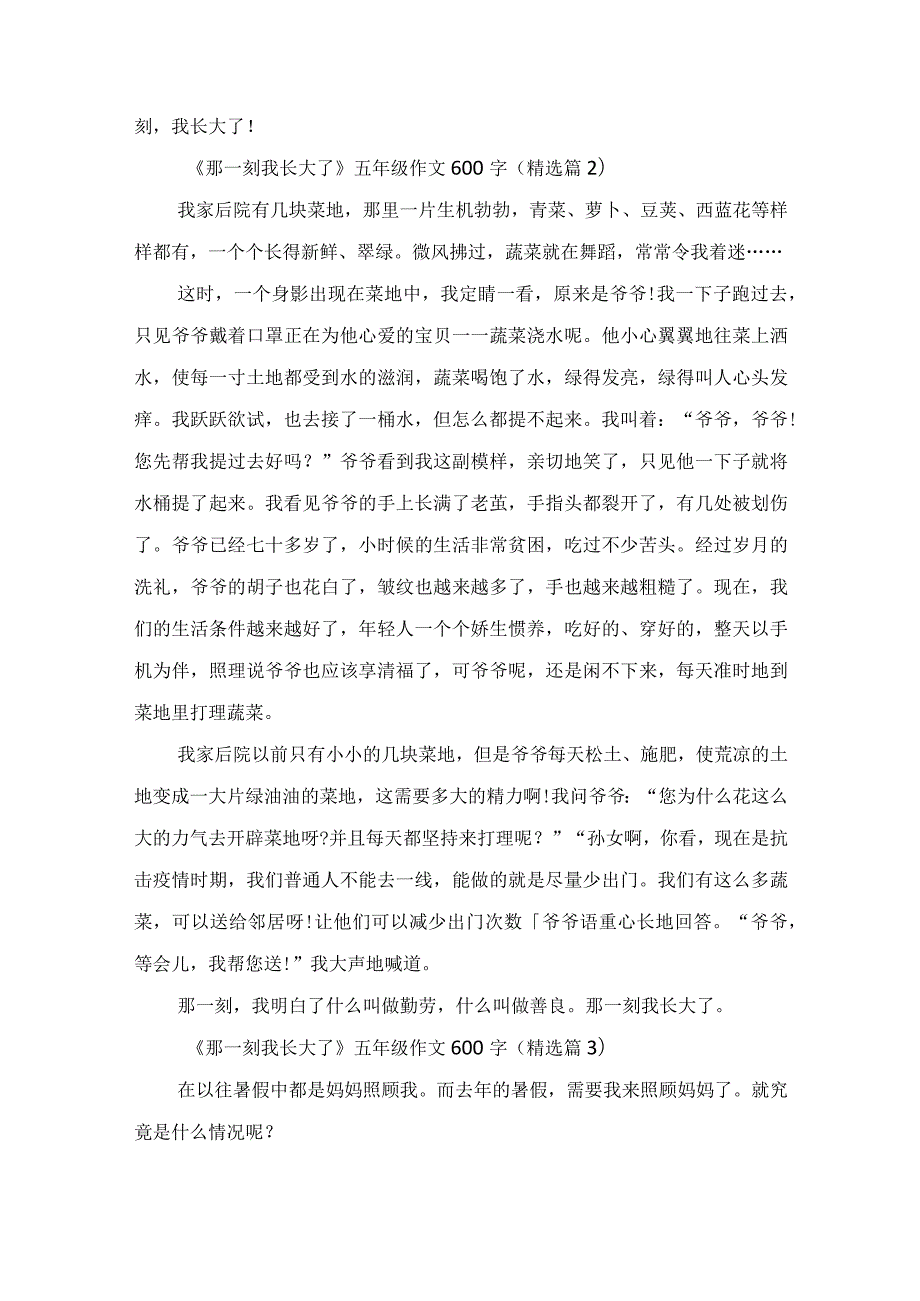 《那一刻我长大了》五年级作文600字.docx_第2页