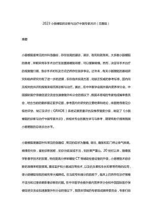 2023小肠梗阻的诊断与治疗中国专家共识（完整版）.docx