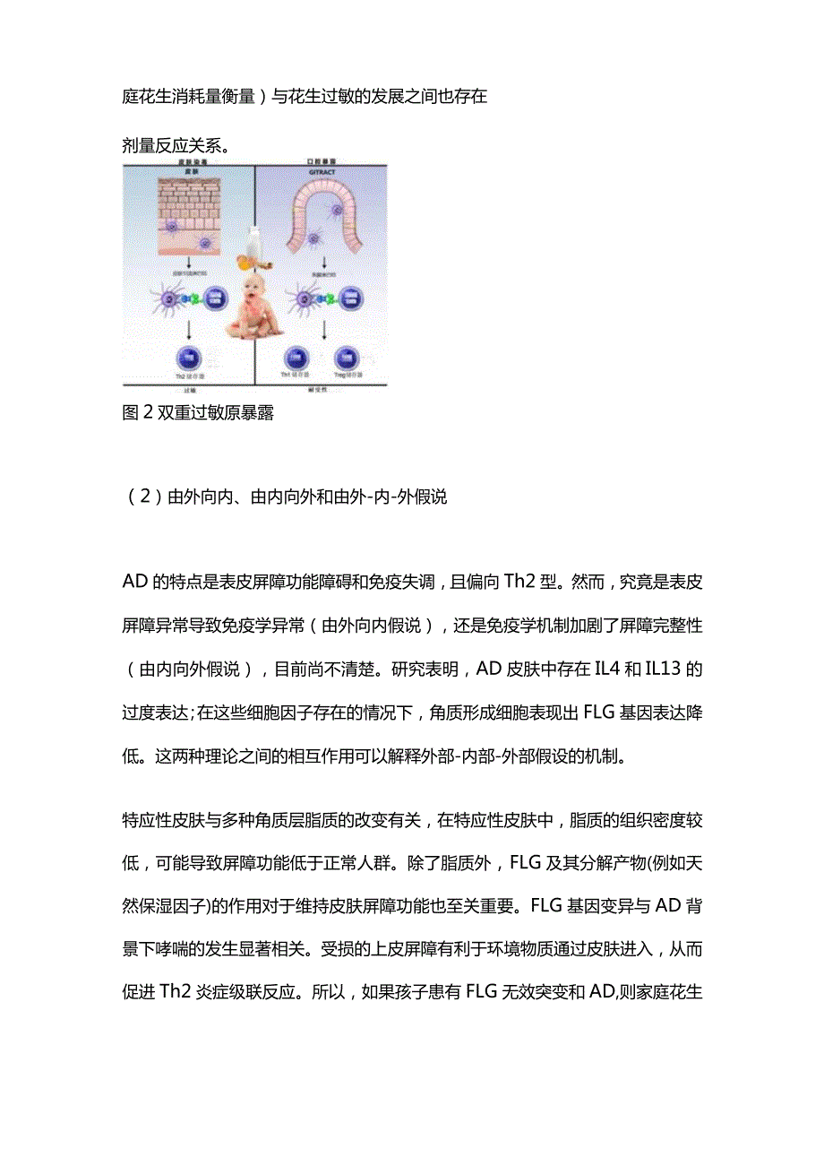 2024皮肤作为过敏预防和治疗的靶点.docx_第3页