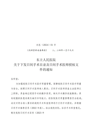 日间手术目录及日间手术医师授权文件.docx