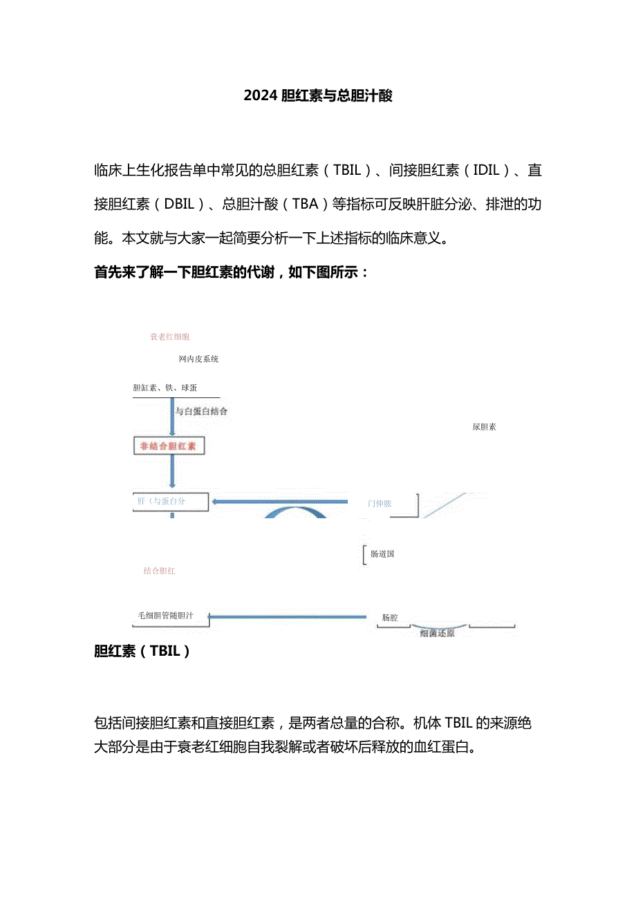 2024胆红素与总胆汁酸.docx_第1页