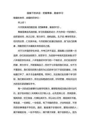 把握青春勤奋学习发言稿国旗下的讲话.docx