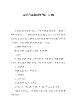 公司的规章制度办法13篇.docx