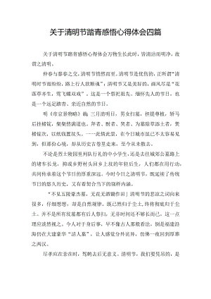 关于清明节踏青感悟心得体会四篇.docx