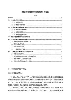 【某集团预算管理问题调查报告14000字】.docx