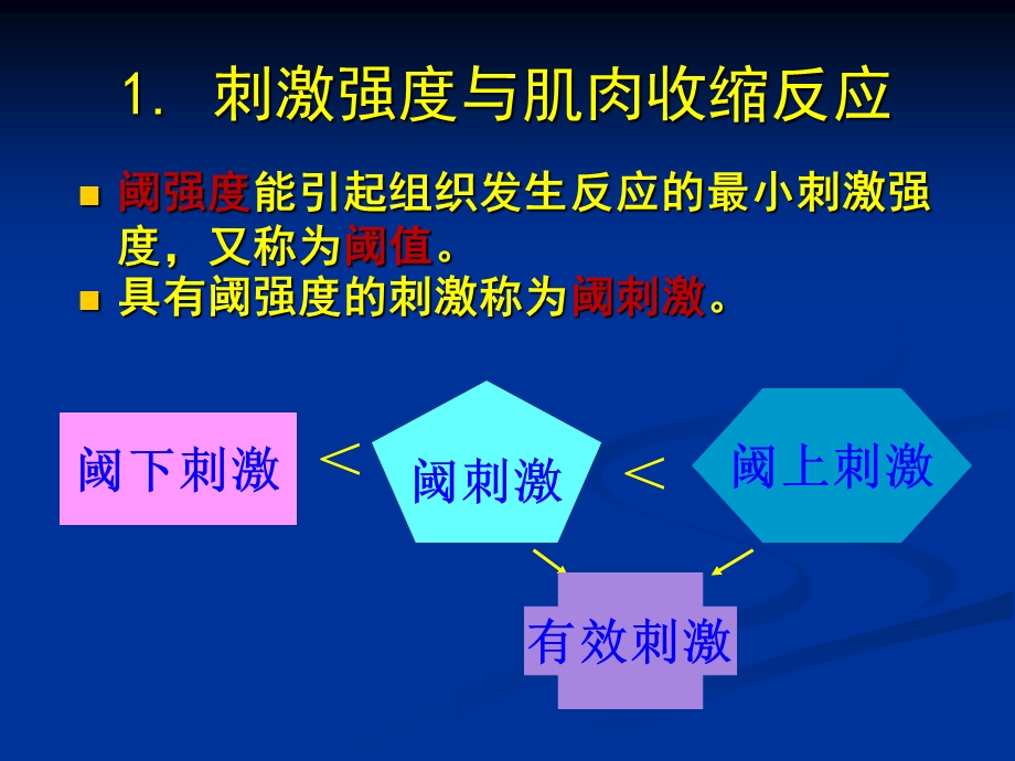 刺激强度、刺激频率与骨骼肌收缩的关系2mlh.ppt_第3页