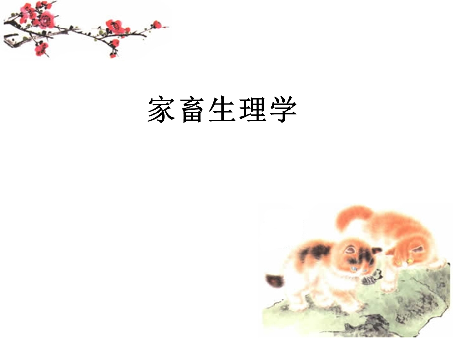 生殖系统.ppt_第1页